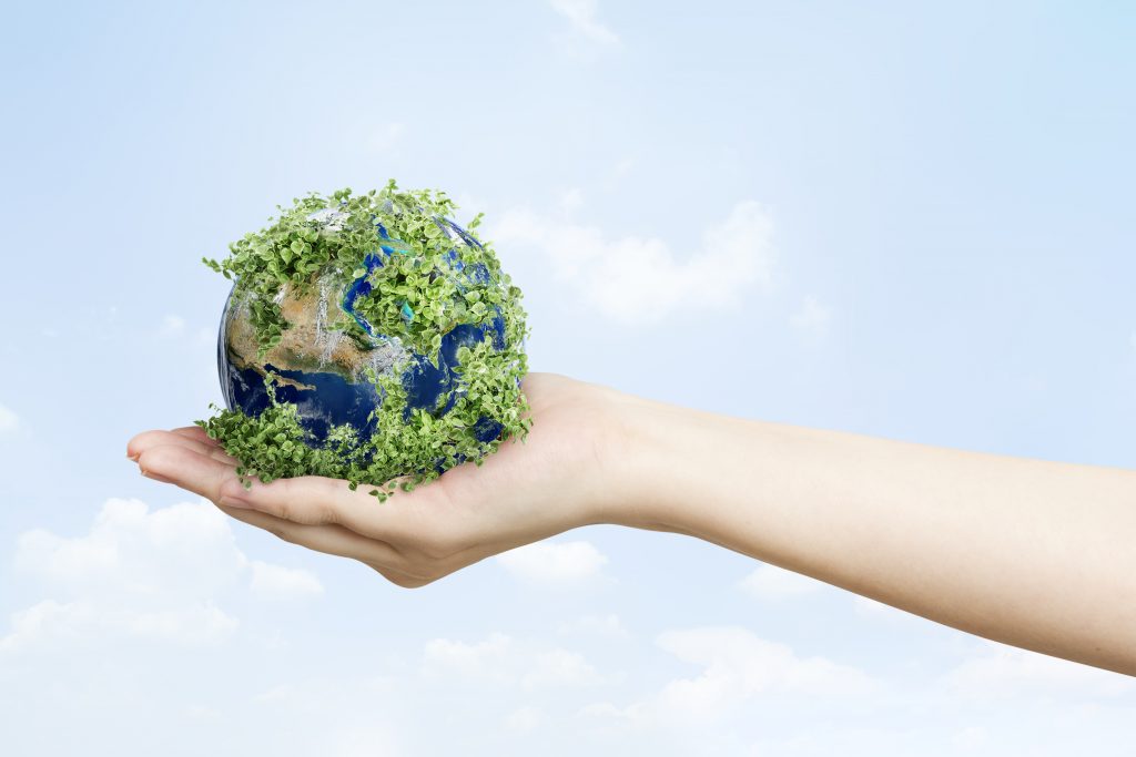 Qual a importância da consciência ambiental para os negócios e quais são os erros que não podem ser cometidos?